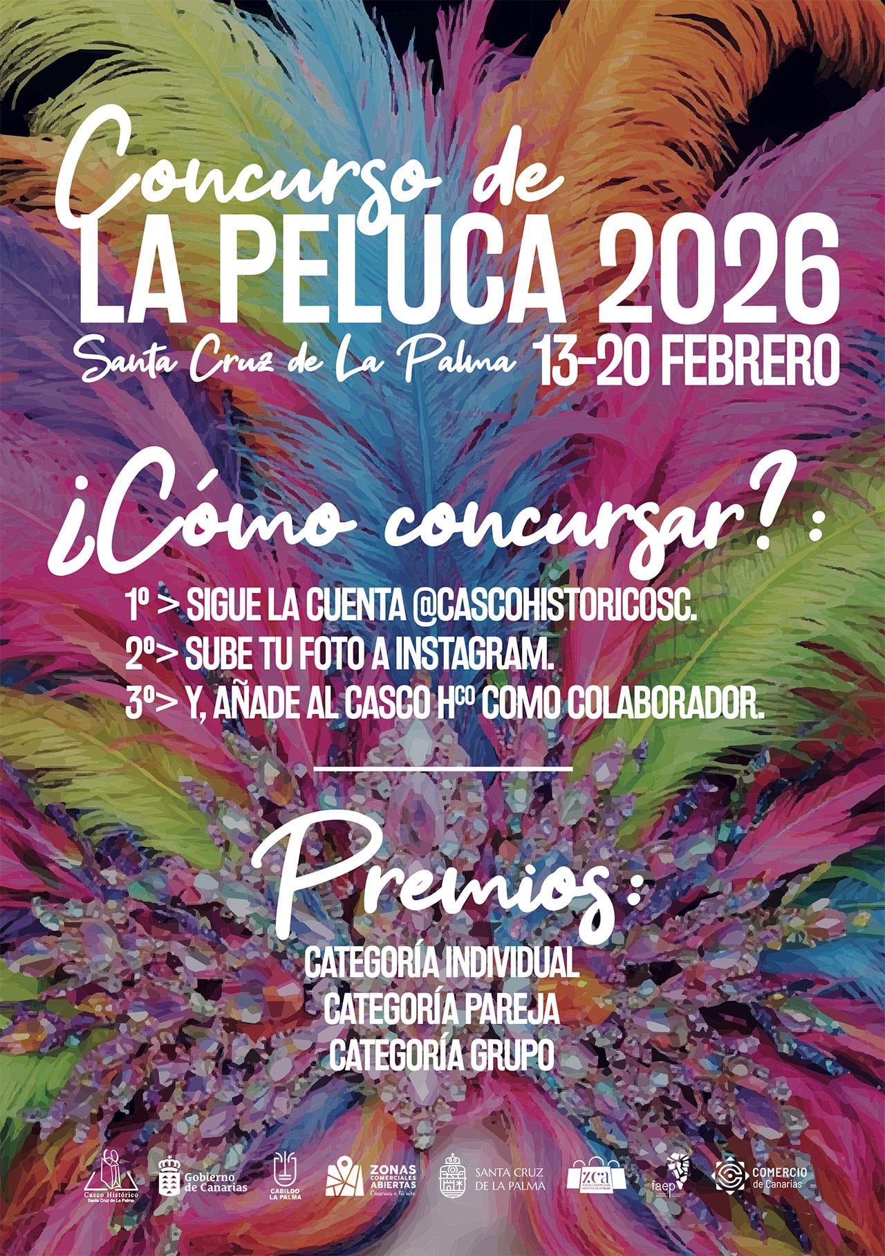 Concurso de la Peluca 2026